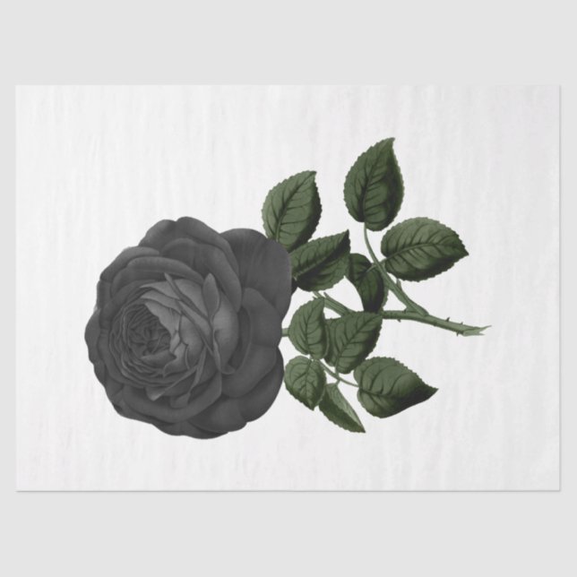 Papel De Seda Diseño de serie Rosa de época 31 (Anverso)