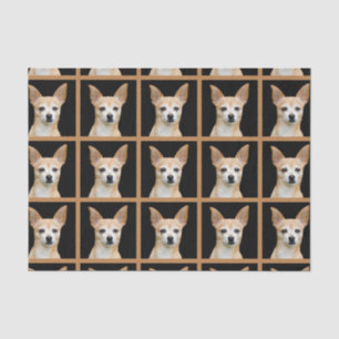 Papel De Seda Diseño del patrón chihuahua Perro negro Tan