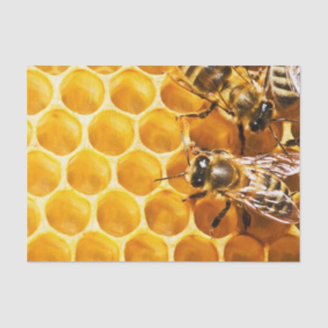 Papel De Seda Diseño del patrón de abejas y abejas (Anverso)