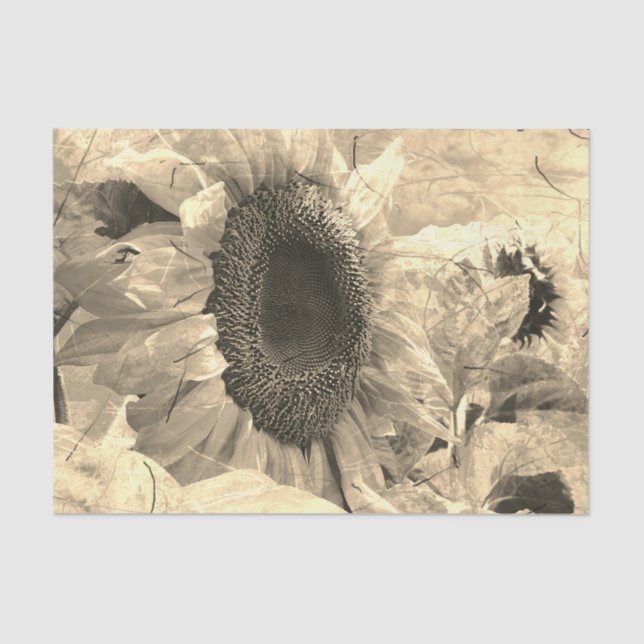 Papel De Seda Diseño floral de Sunflower Sepia (Anverso)