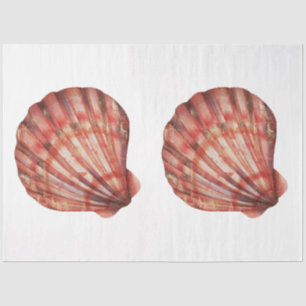 Papel De Seda Diseño Serie de Conchas de Mar Acuarela Subacuátic