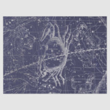 Diseño Serie Mapa Estelar Galaxia de Plata 10
