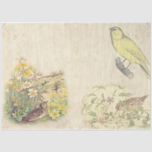 Papel De Seda Diseño Serie Pájaro Vintage 1