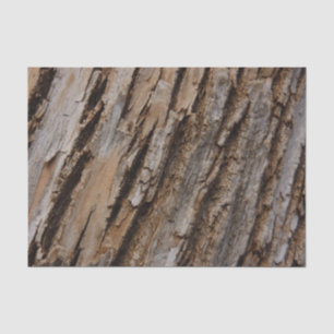 Papel De Seda Diseño Texturizado Abstracto Natural Corteza de Ár