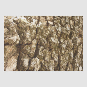 Papel De Seda Diseño Texturizado Natural de Corteza de Árbol II