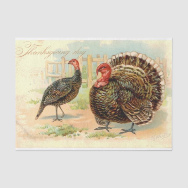 Papel De Seda Diseño vanguardista de la serie de Acción de Graci (Anverso)