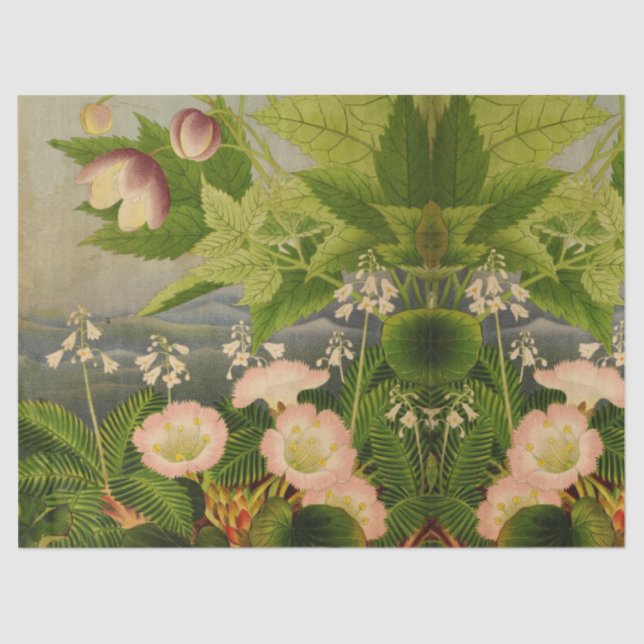 Papel De Seda Doble Ilustracion de libros de flores botánicas de (Anverso)