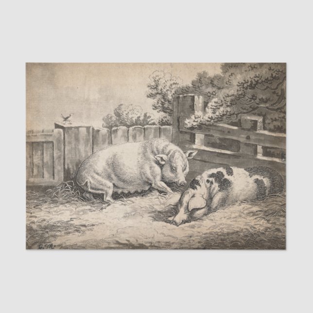 Papel De Seda Dos cerdos yacen en la paja en una pluma exterior (Anverso)