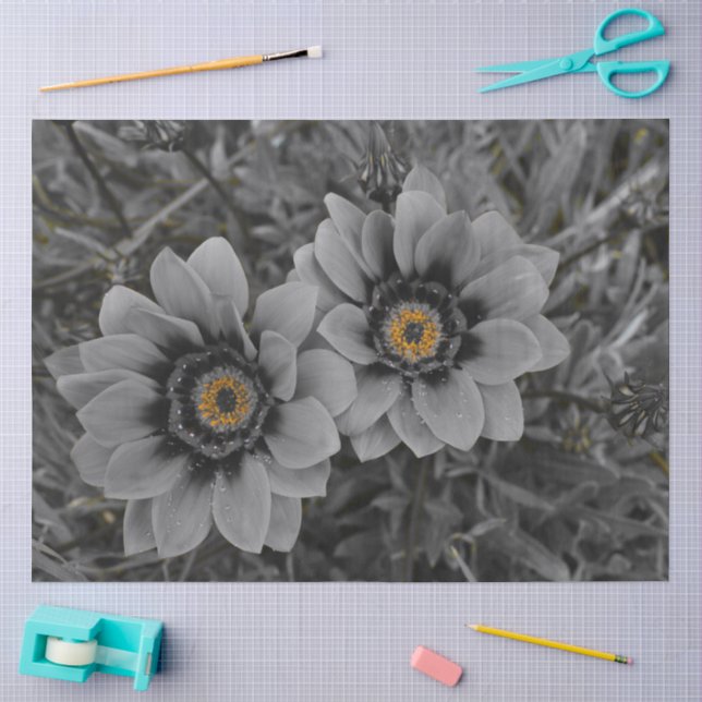 Papel De Seda Dos de la misma clase (Artesanía)