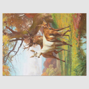 Papel De Seda Dos Deer Rojo Y Blanco En La Decoración Del Bosque