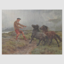 Dos estribaciones de Shetland en un polvoriento pa