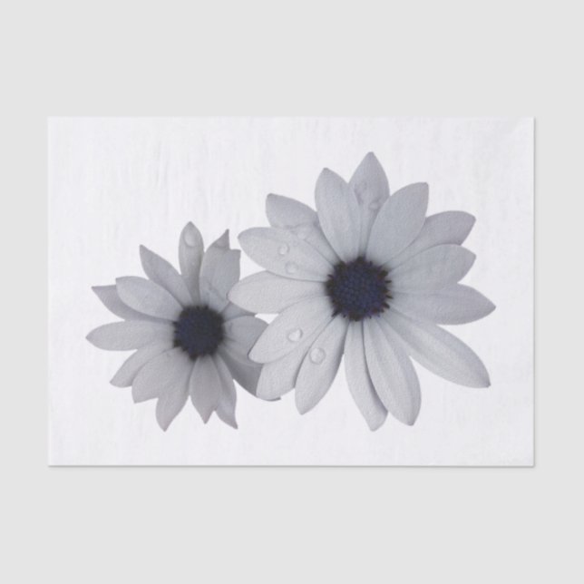 Papel De Seda dos flores blancas (Anverso)