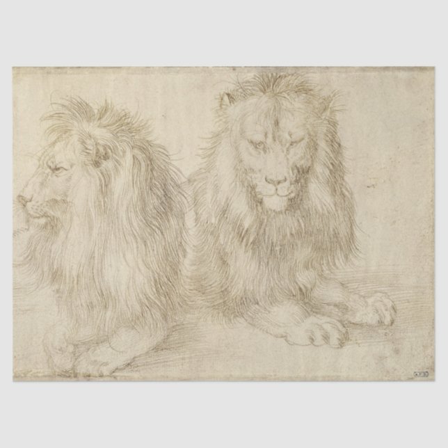 Papel De Seda Dos Leones (Animales Silvestres) (Albrecht Durer) (Anverso)