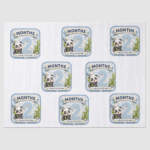 Papel De Seda Dos Meses de Maravilla