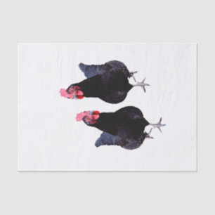 Papel De Seda Dos pollos negros,