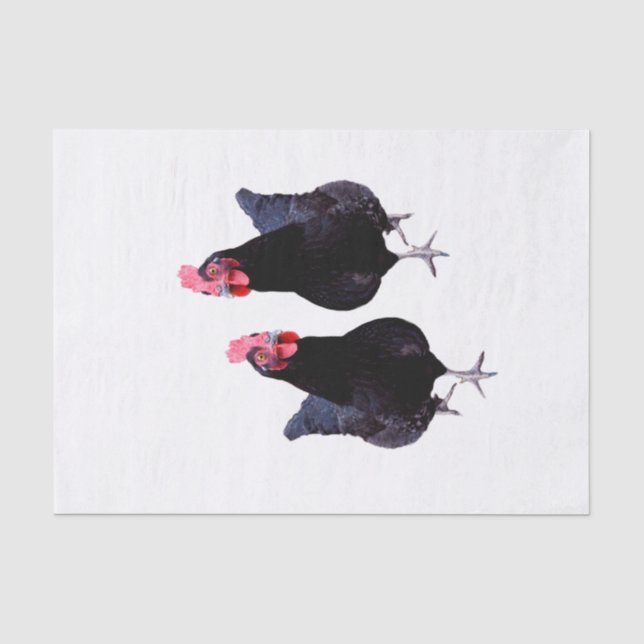 Papel De Seda Dos pollos negros, (Anverso)