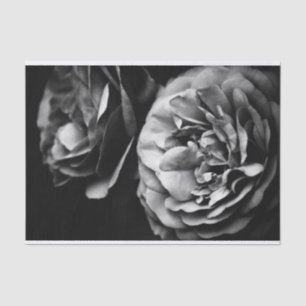 Papel De Seda dos rosas