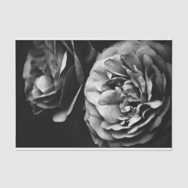Papel De Seda dos rosas (Anverso)