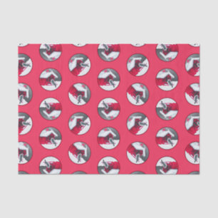 Papel De Seda Downy Woodpecker en el alimentador rojo original d