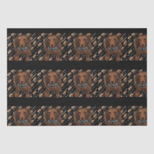 Papel De Seda Doxies pelirrojos de pelo largo   
