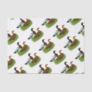Papel De Seda Drake mallard y pato