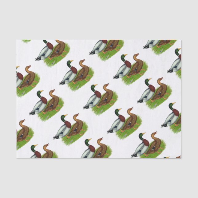 Papel De Seda Drake mallard y pato (Anverso)