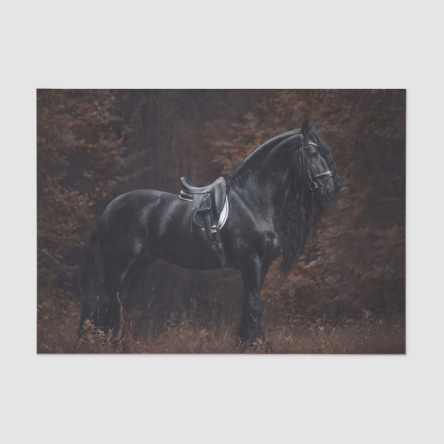 Papel De Seda Dressage Friesian Stallion (Anverso)