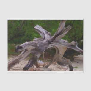 Papel De Seda Driftwood