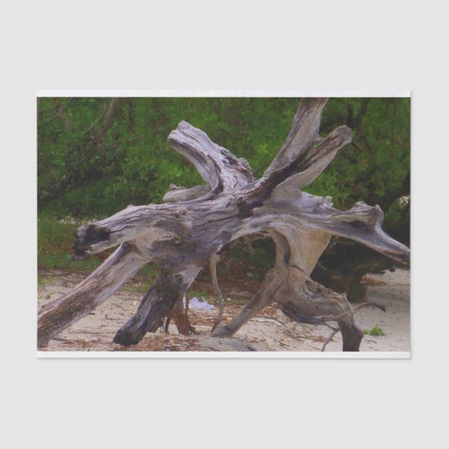 Papel De Seda Driftwood (Anverso)