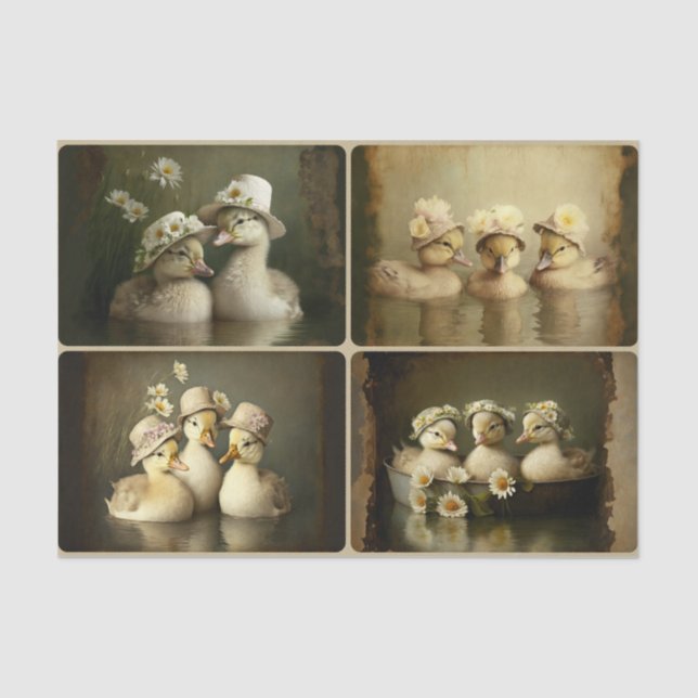 Papel De Seda Ducklings de primavera (Anverso)