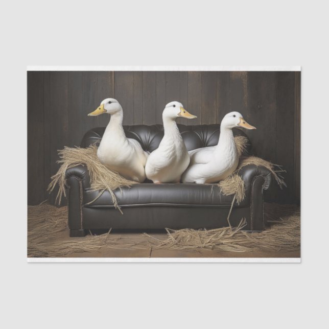 Papel De Seda Ducks de desconexión (Anverso)