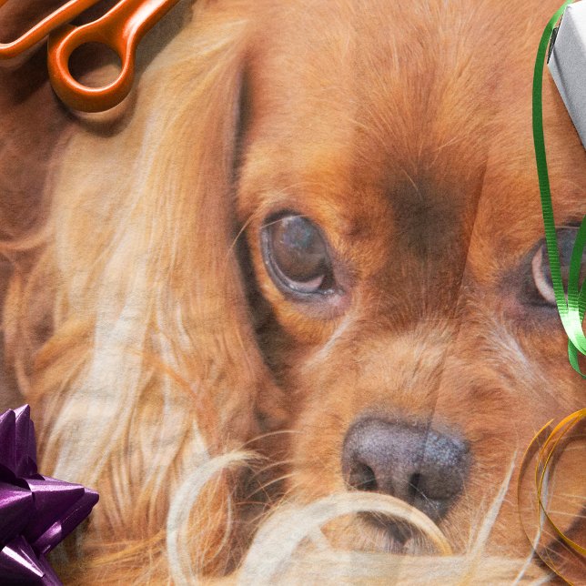 Papel De Seda Dulce Amigo Cavalier King Charles (Subido por el creador)