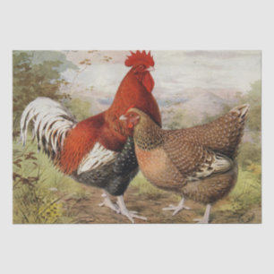 Papel De Seda Dulce gallo vintage fiesta de gallina campestre