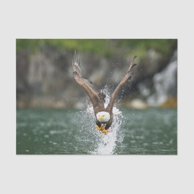 Papel De Seda Eagle calvo la captura grande (Anverso)