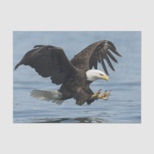 Papel De Seda Eagle en acercamiento