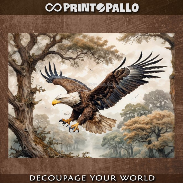 Papel De Seda EEUU Aguila Calva vuela entre el árbol en un bosqu (Subido por el creador)