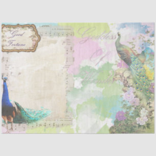 Papel De Seda Efema de pavo real 5