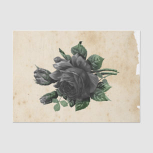 Papel De Seda Efímera de Bruja Serie de Diseño #9