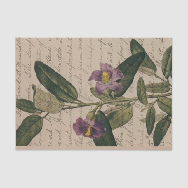 Papel De Seda Efímera de Flor Púrpura (Anverso)