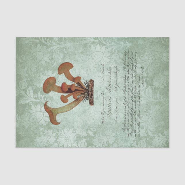 Papel De Seda Efímera de hongos vintage (Anverso)
