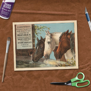 Papel De Seda Efímera de publicidad de caballos de granja bebien