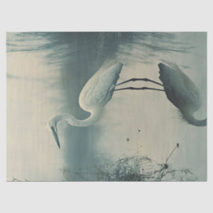 Papel De Seda Egret en la página de la niebla