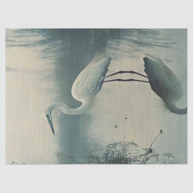 Papel De Seda Egret en la página de la niebla (Anverso)