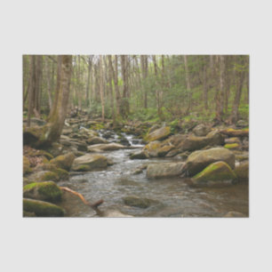 Papel De Seda El arroyo de Le Conte en las grandes montañas hume