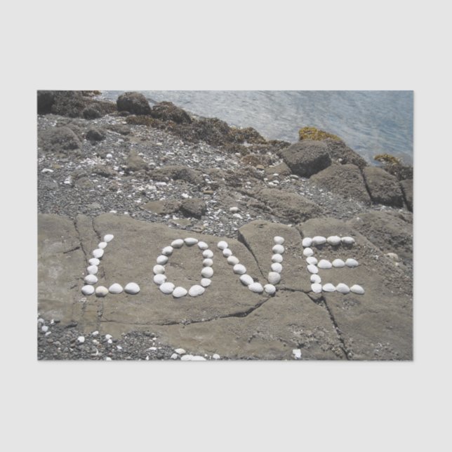 Papel De Seda El arte de las conchas en la playa (Anverso)