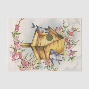 Papel De Seda El Birdhouse