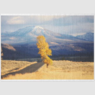 Papel De Seda El camino abierto