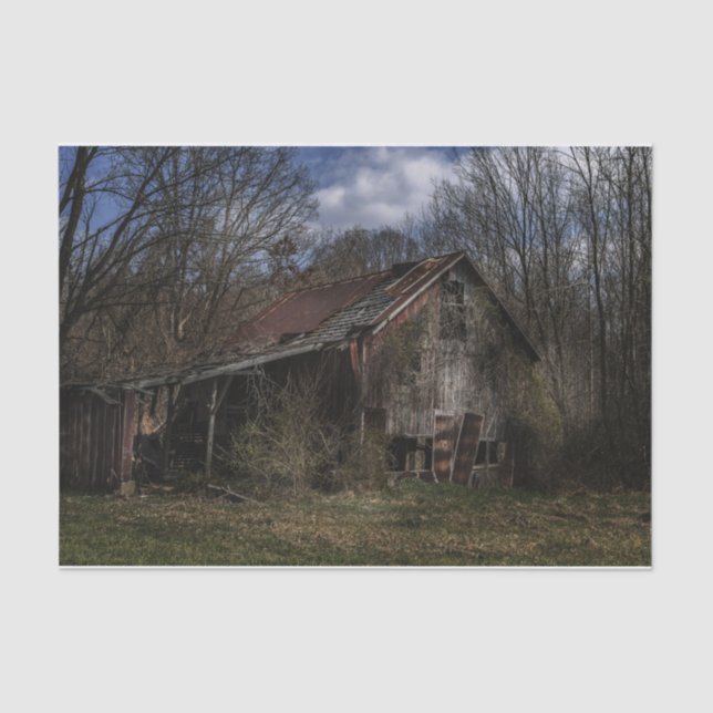 Papel De Seda El deterioro de la plantación de madera abandonada (Anverso)