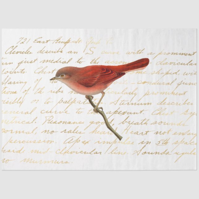 Papel De Seda El diseño de la serie Bouquet 140 (Anverso)