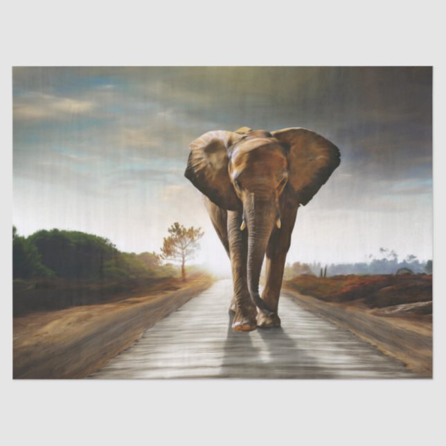 Papel De Seda El elefante (Anverso)